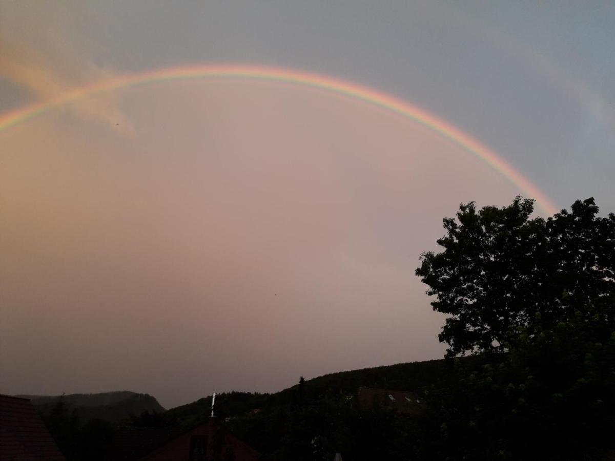 Elfenhaeuschen Mit 3 Dtv Sternen Ausgezeichnet Villa Bad Harzburg Bagian luar foto