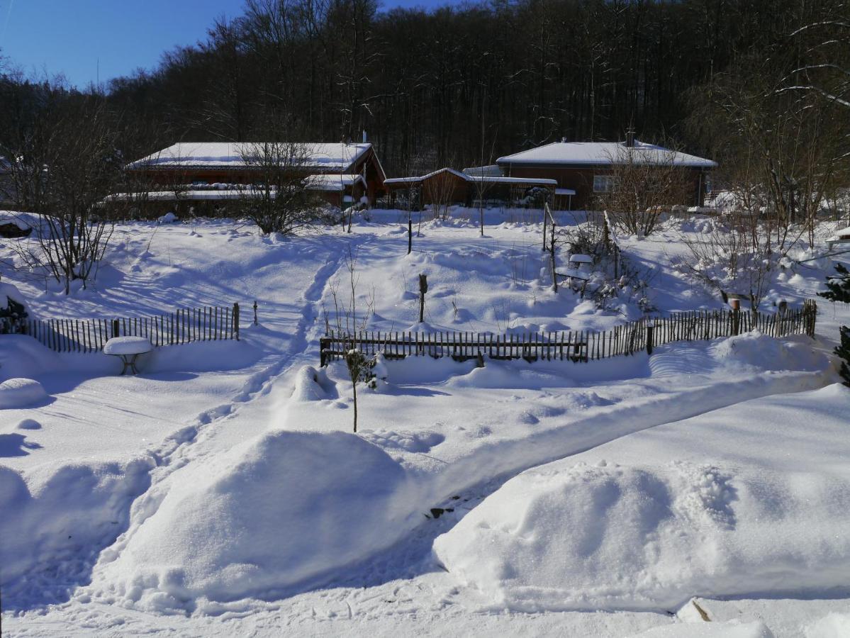 Elfenhaeuschen Mit 3 Dtv Sternen Ausgezeichnet Villa Bad Harzburg Bagian luar foto