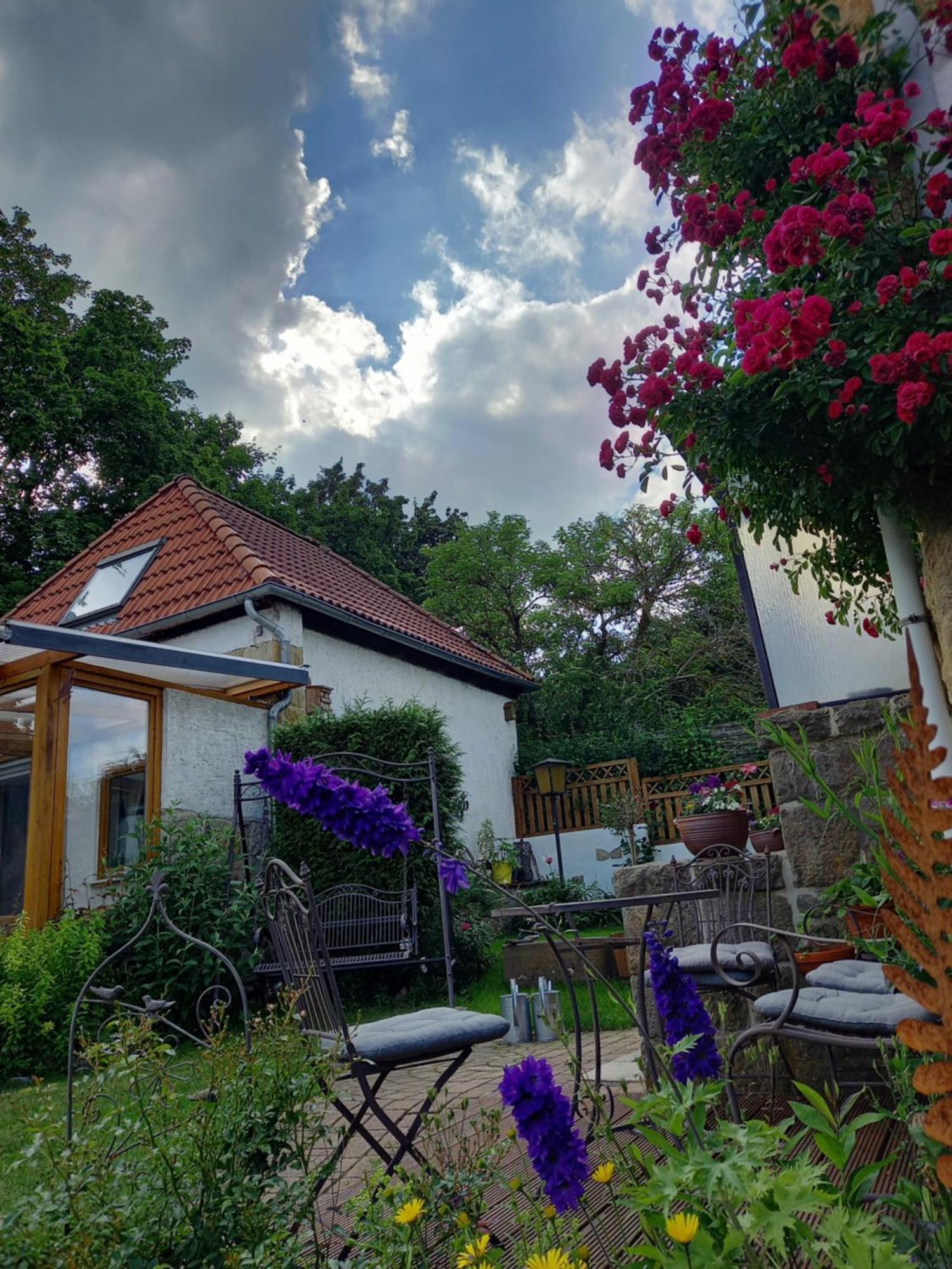 Elfenhaeuschen Mit 3 Dtv Sternen Ausgezeichnet Villa Bad Harzburg Bagian luar foto