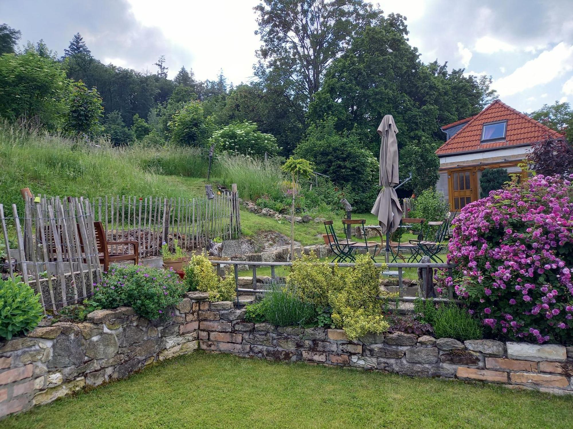 Elfenhaeuschen Mit 3 Dtv Sternen Ausgezeichnet Villa Bad Harzburg Bagian luar foto