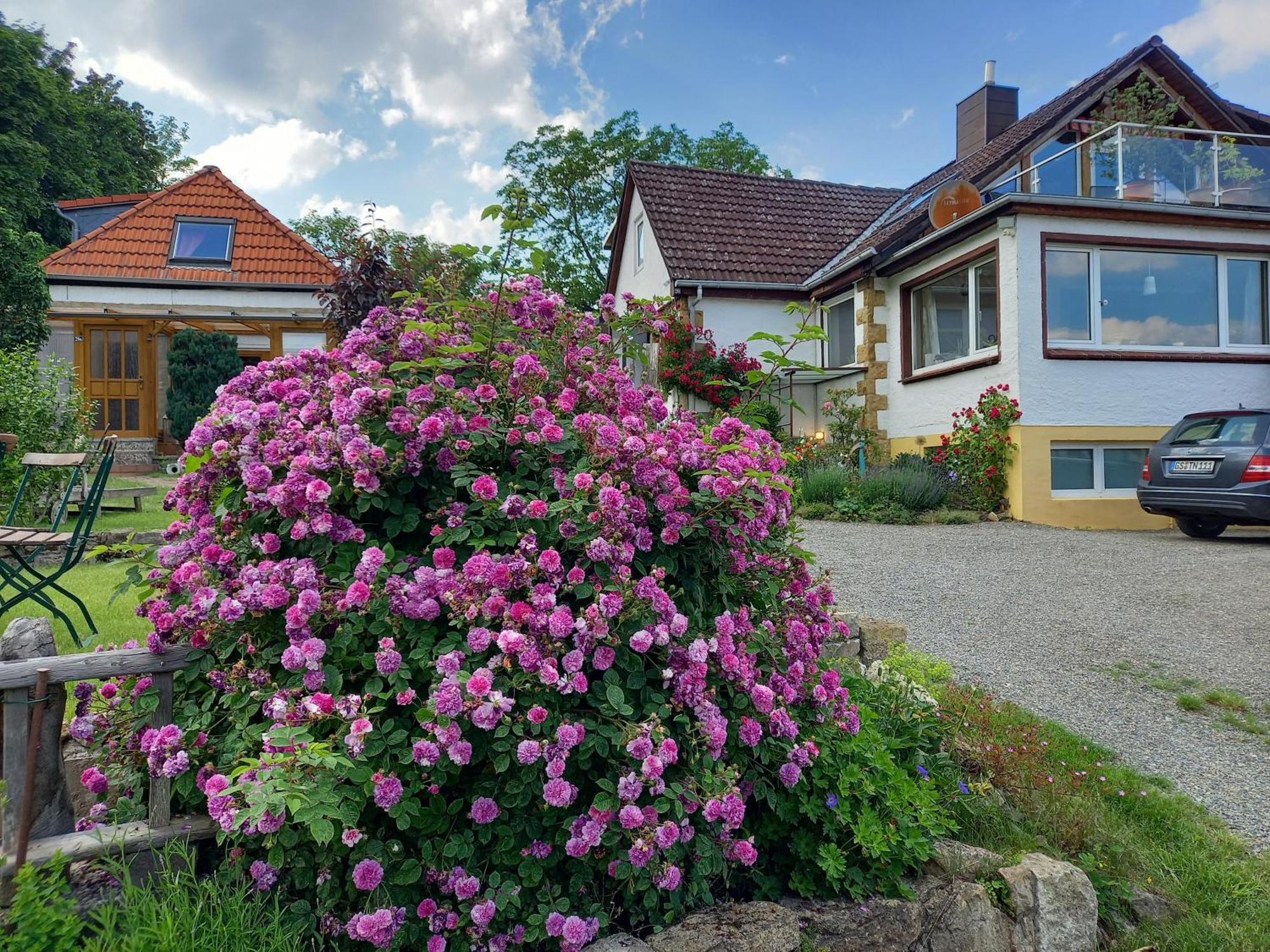 Elfenhaeuschen Mit 3 Dtv Sternen Ausgezeichnet Villa Bad Harzburg Bagian luar foto